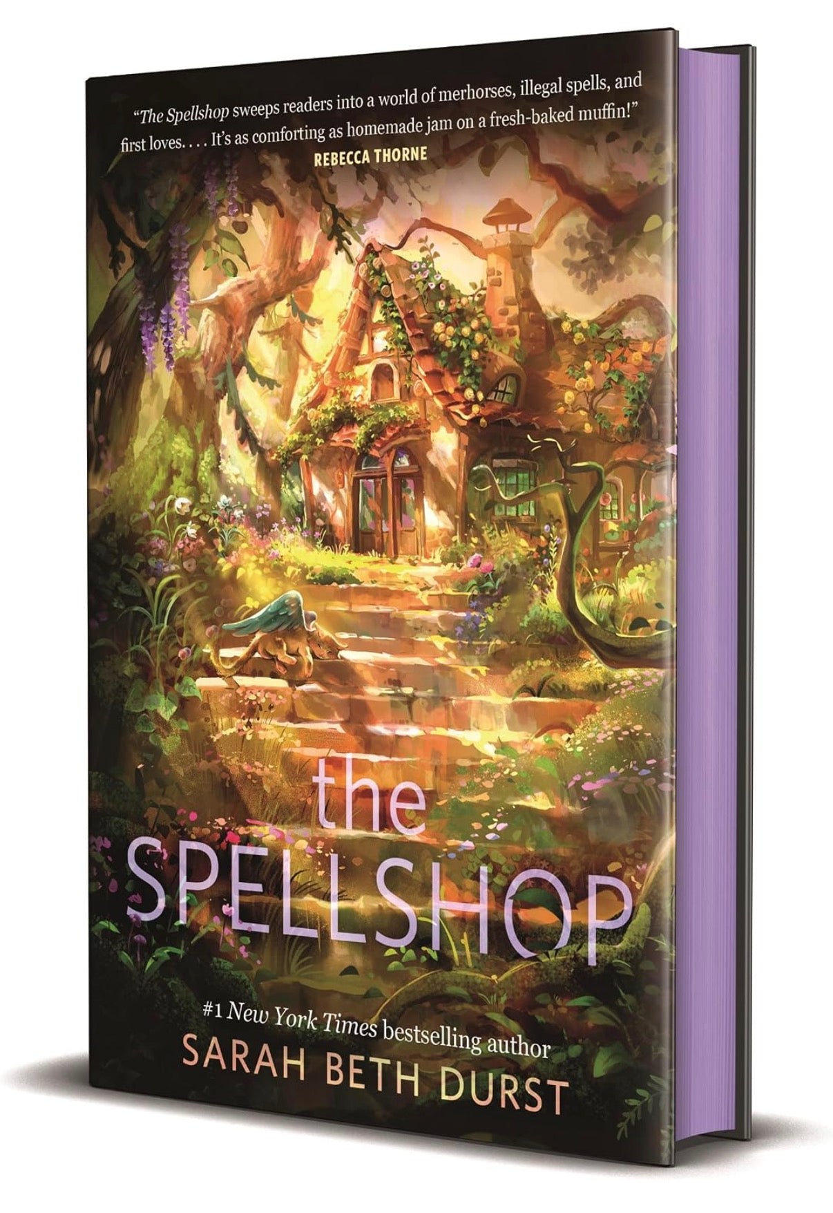 The Spellshop by Sarah Beth Durst