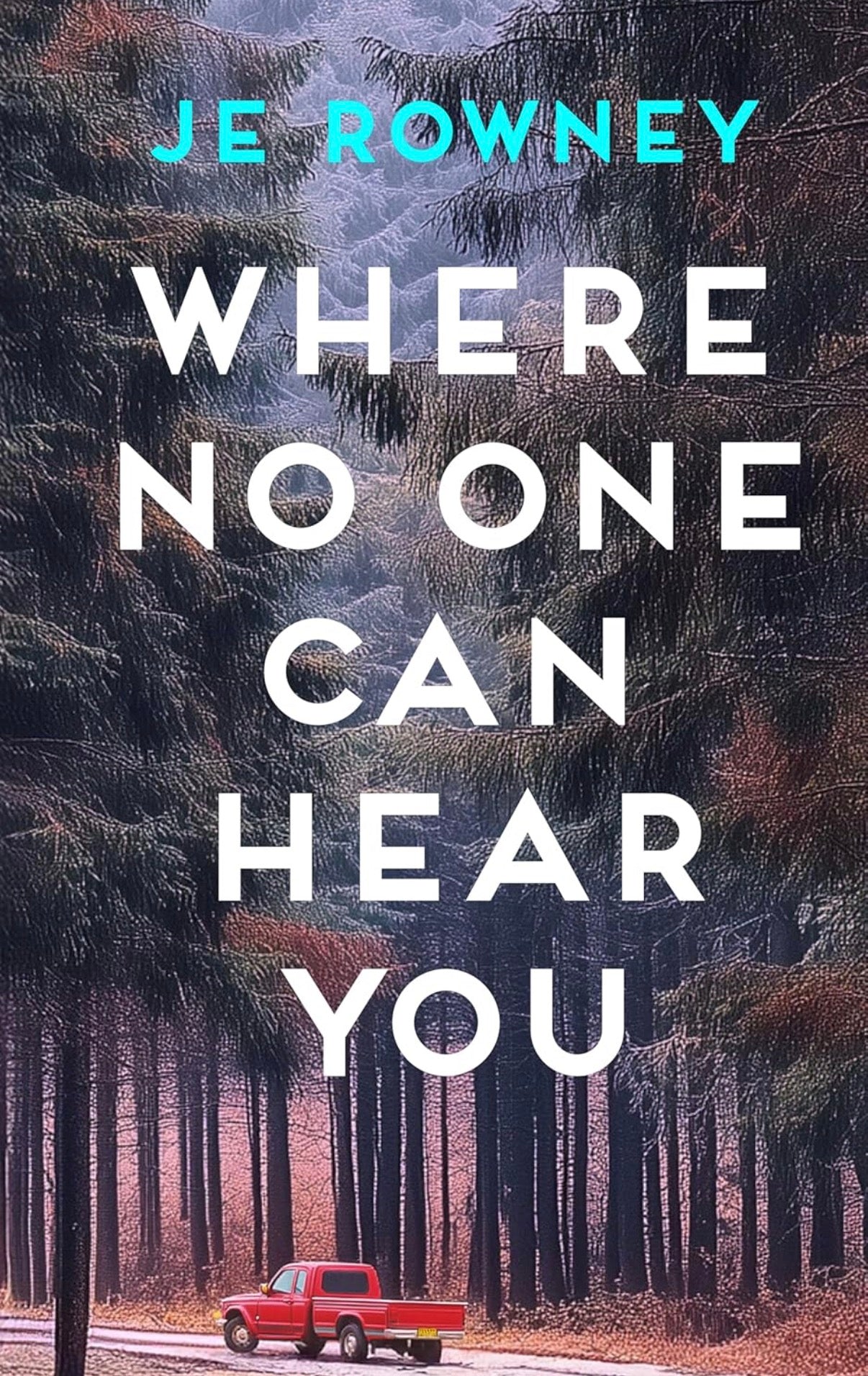Where No One Can Here You by JE Rowney